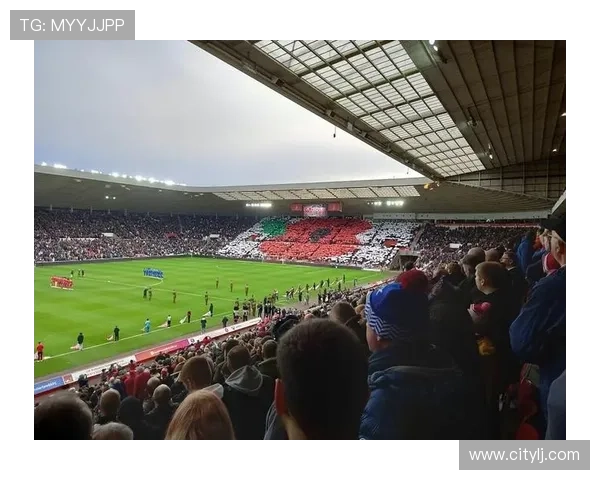 韩国足球球星的辉煌历程与亚洲绿茵场的传奇故事